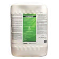 Synergize Disinfectant