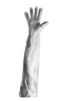 ALMEDIC Shoulder Length Gloves