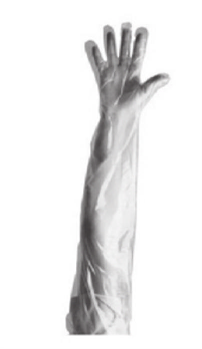 ALMEDIC Shoulder Length Gloves
